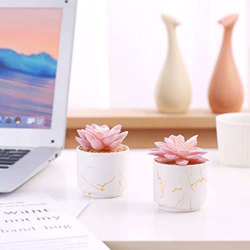 ZENIDA Artificial Plants and Succulents in 2 White Ceramic Pots,Small Fake Plants for Office and Desk Decor,Bathroom, Bedroom,Shelves for Women - color: White