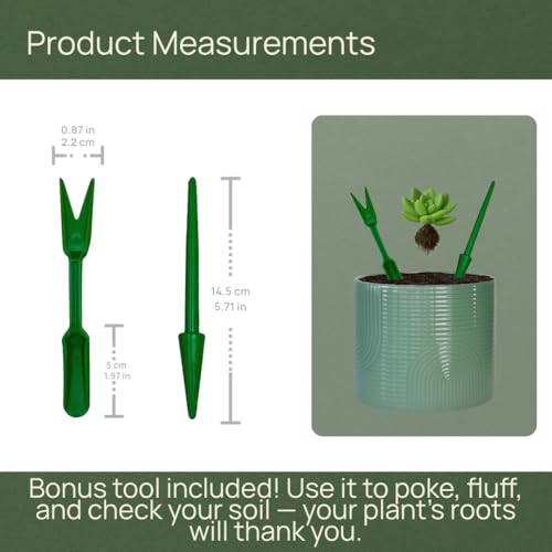 6 Inch Ceramic Plant Pot – Decorative Indoor Planter (No Drainage Hole) for Succulents, Herbs & Houseplants – Modern Tabletop Desk Planter – Sage Green - color: Sage Green