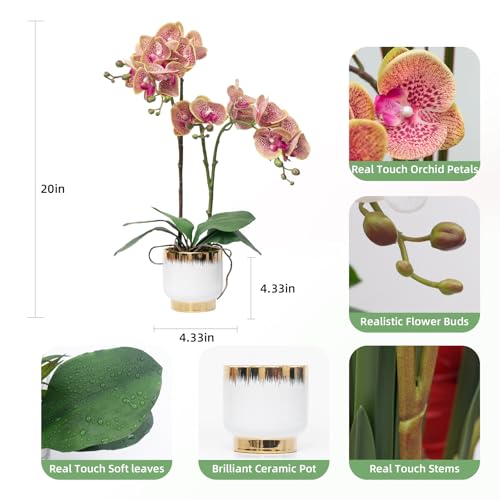 CXGS Orchids Artificial Flowers Real Touch Fake Flowers in Ceramic Pot 20" Purple Dapple Faux Orchid Plant Lifelike Silk Phalaenopsis for Centerpiece Hotel Home Indoor Decor - color: Purple Dapple- White Gold Vase