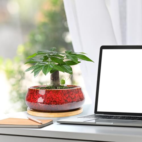 ARTKETTY Succulent Pots - 8 Inch Plant Pot, Large Bonsai Pots with Drainage Tray, Ceramic Planters for Indoor Outdoor Plants, Round Shallow Cactus Flower Plant Container Bowl Decorative Home Garden - color: Red