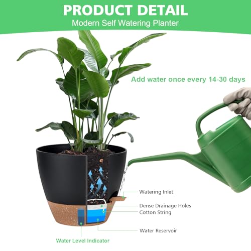 Self Watering Planter Set with Visual Water Level, 6Pack Small Plastic Pot with Drainage Holes and Reservoir Saucers, Modern 8+7+6.5+6+5.5+5 Inch Bottom Watering Flower Pots for Indoor Plant - Black - color: Black-small