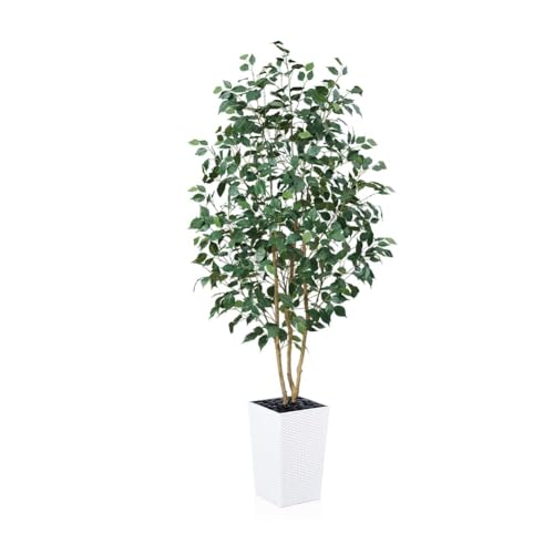 VeriNatural 6ft Artificial Ficus Tree-Tall Faux Tree with Pebbles & Planter UV Resistant Potted Fake Plant with Silk Leaves & Real Wood Trunk-Indoor Outdoor Floor Plant for Home,Living Room,VN129 - color: White, size: 6ft
