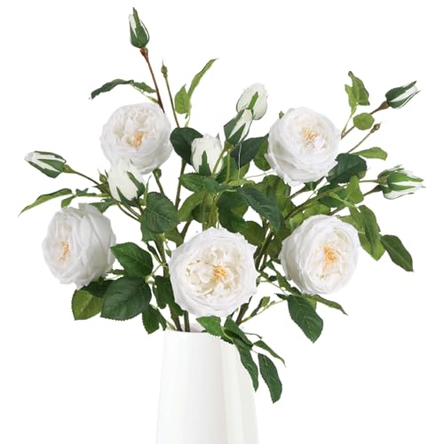 Real Touch White Austin Roses Peonies Artificial Flowers 4 Bouquets Latex Fake Peonies with Long Stem Realistic Faux Peony for Wedding Party Home Table Centerpieces Decorations (White) - color: White