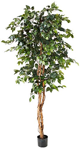 Nearly Natural 6ft Triple Trunk Artificial Ficus Tree with Natural Wood Trunks, Fake Tree for Indoor Home Décor, Faux Ficus Tree with Black Nursery Pot - size: 6ft, style: Tree in Pot