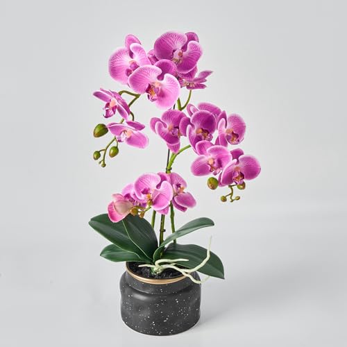 Avoeco Artificial Real Touch Orchid Plant – 20″ Faux Phalaenopsis in Pot – Highly Realistic Silk Orchid Flower & Leaf Texture for Home, Office,Shop & Wedding Décor (Fuchsia, 20”) - color: Fuchsia, size: 20”