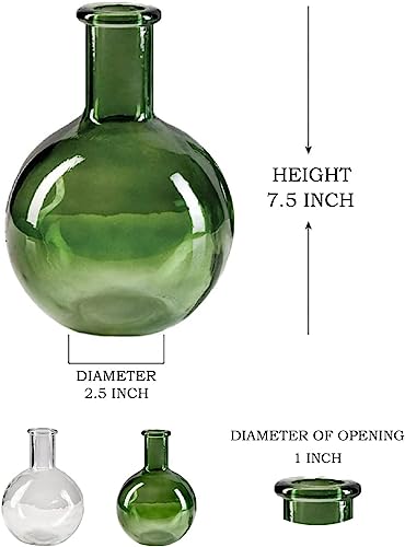 Serene Spaces Living Green Bottleneck Bulb Glass Vase, Vintage Round Flower Vase for Console Table, Shelf, Living Room, Bathroom, Office, Wedding, Measures 5.3" Diameter & 7.48" Tall, Pack of 16 - color: Green, Set of 16