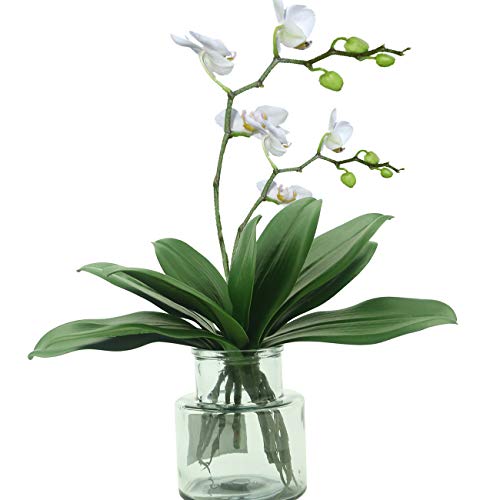 Tinsow Artificial Green Phalaenopsis Simulation Moth Orchid Leaf Real Latex Touch Green Plant for Flowers Garden Bonsai Decor (5, 9.5"/5 Leaves)