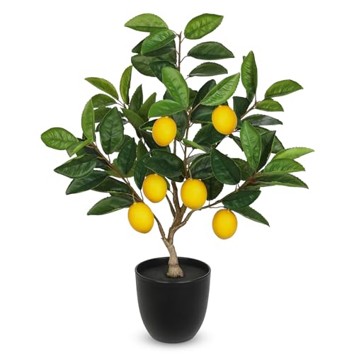 Artificial Potted Plants 19.7 inches Small Fake Lemon Tree Artificial Lemons Citrus Tree with Black Pot Faux Plants Indoor Lemon Decorations for Home,Office, Living Room Table, Desk - style: Plastic Pot