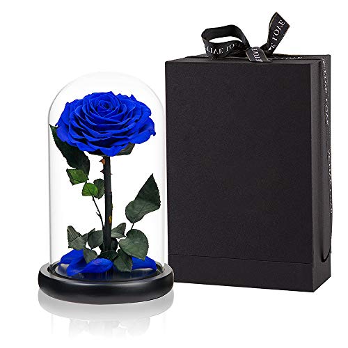 Preserved Roses Handmade Rose in Glass Dome, Preserved Flowers Never Withered Romantic Gifts for Her, Mother's Day, Birthday Gifts for Women (9 inch, Blue) - color: Royal Blue, size: Large