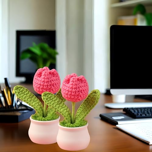Crochet Tulip Flowers, 2pcs Small Potted Flower Tulip Artificial Flowers Handmade Knitted Tulips Potted Plants for Home Office Desk Decorations Gift (White) - color: White Tulip