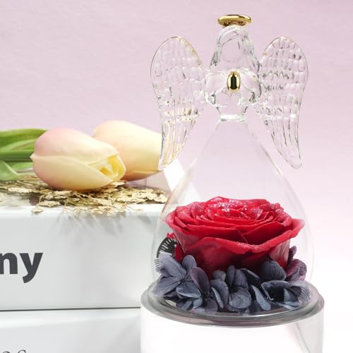Miofula Gifts for Mom Birthday Gifts for Women, Preserved Flowers Rose in Glass Angel Figurines, Fresh Flowers for Delivery Anniversary Forever Real Roses Gifts for Mothers Grandma Her Wife Girlfriend - color: Red Starry Sky