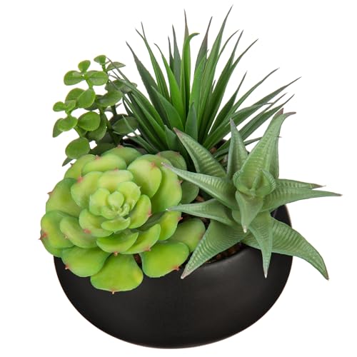 Fake Plants Artificial Succulents in Pots Faux Succulent Arrangement Potted Plant with Black Ceramic Pot for Home Decor Modern Office Desk Bathroom Shelf Living Room Indoor & Outdoor Decoration - color: Matte Black