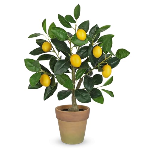 Oairse Artificial Potted Plants 19.7 inches Small Fake Lemon Tree Artificial Lemons Citrus Tree with Terracotta Pot Faux Plants Indoor Lemon Decorations for Home,Office, Living Room Table, Desk - style: Terracotta Pot