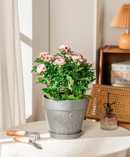 Melphoe Plant Pots Indoor with Drainage & Saucer, 2Pack 8 inch Flower Pots Outdoor Planters for Indoor Plants Garden Home Decor Cactus Succulent, Rigid Plastic (Imitation-Terracotta) Vine-Embossed - color: Cement Grey Color, size: 8''