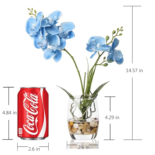 Jusdreen Artificial Blue Orchid in Glass Vase, Realistic Phalaenopsis Arrangement with Potting for Home Office Table Decor, 14.5 Inch Flower Centerpiece - color: Glass-blue