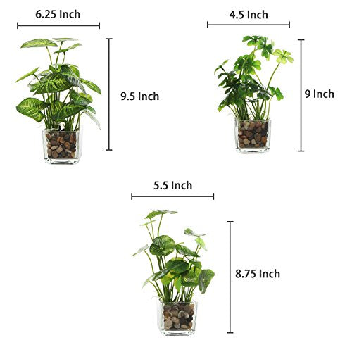 MyGift Set of 3 Fake Plants, Small Artificial Potted Plants Indoor in Clear Glass Pot, 9.5 Inch Faux Plant for Home Decor - color: Clear (Earth Tone Pebbles)