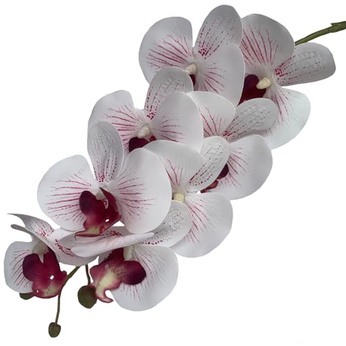 FagusHome 32 Inch Artificial Phalaenopsis Flowers 6 Pcs Artificial Orchid Flowers Stem Plants for Home Décor (White and Purpleline) - color: White and Purple