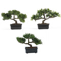 Nearly Natural 12in. Bonsai Silk Plant Collection (Set of 3) - size: 12 in