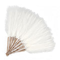 50pcs Ivory Pampas Grass 21.6 Inch Non-Shedding Faux Pampas for Vibrant Warm Home, Boho Weddings and Terracotta Tone Vase Arrangements - color: Ivory