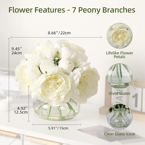 Artificial Peonies with Glass Vase, Faux Peony Fake Flowers with Faux Water, Silk Flower Arrangements for Home Decor, Bathroom, and Table Centerpiece Decorations Home Centerpiece Floral (White) - color: White, size: Peony, Silk