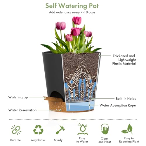 WSMKSZ 7/6.5/6/5.5/5/4 inch Self Watering Pots for Indoor Outdoor Plants, 6 Pack Plastic Flower Planters with Drainage Holes and Removable Saucers, Plant Pots with Wicking Rope, Black Brown - color: Black Brown, size: 7+6.5+6+5.5+5+4inch 6pcs