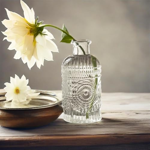 TIWPAJS Propagation Vases for Plants, Bud Vases, Small Glass Vase for Flowers, Home Decor, Table Decor, Shelf Decor, Desk Decor, Office Decor