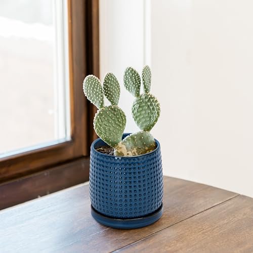 D'vine Dev 4 Inch Ceramic Beaded Stoneware Planter Pot - Flower Pot with Drainage Holes and Saucers for Indoor Succulent Plants or Flowers, Midnight Blue, 27-C-Z-3 - color: Midnight Blue, size: 4.3 Inch