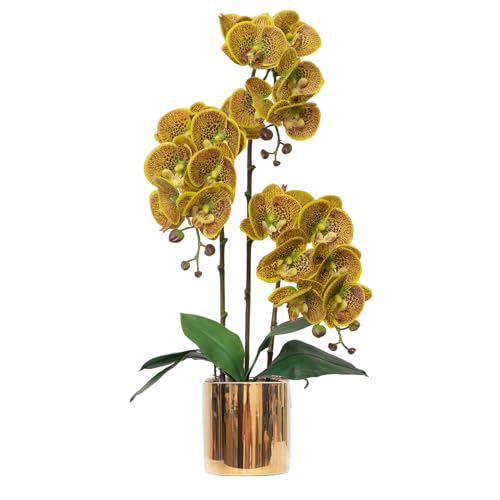 Artificial Orchid Flowers Set Fake Phalaenopsis Flower Faux Butterfly Orchid Real Touch Orchid for Wedding Home Office Party Hotel Yard Decoration Restaurant - color: Macula Lutea