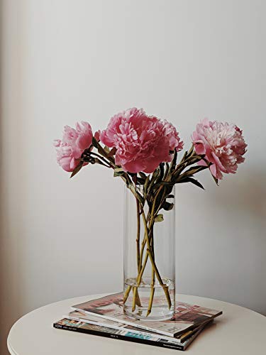 WGV Cylinder Vase, Diameter 5", Height 10", Clear Glass Floral Planter Container, Floating Candle Holder for Wedding Party Event Home Office Decor, 1 Piece - size: 5"x10"H CL