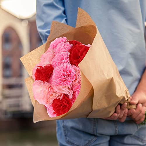120 Pack Artificial Carnations with Stems Leaves Eternal Blossom Silk Carnation Flower Artificial Pom Pom Mini Hydrangea Birthday Party for Home, Wedding(Scarlet, Pink, Light Pink) 5g6e8t1sm19