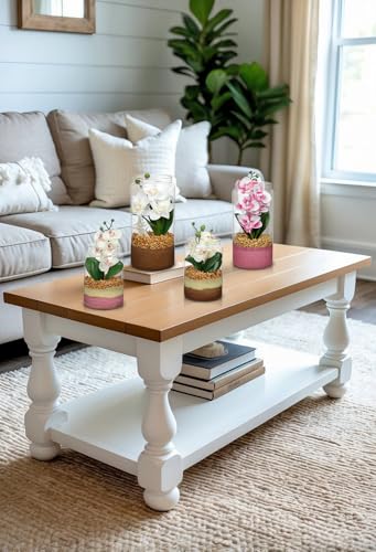 White Orchids Artificial Flowers with Vase, Small Faux Orchid Arrangement Fake Orchids Plant in Terrarium Jar Small White Orchid Centerpieces for Kitchen Dining Room Tables Bathroom Nightstand Decor - color: White +Beige &Pink Sand