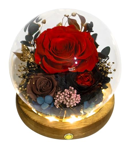 Valley of Rain & Forest Long-Lasting Real Flowers With Delivery | Unique Floral Gift For You to Send Love for All Occasions, Aesthetic Home Decor (Preserved Red Black Roses Arrangement) - color: Red Rose, Brown Rose, Black-Red Austin Rose