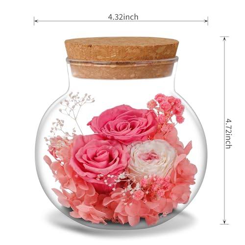 NATROSES Christmas Birthday Gifts for Women - Handmade Preserved Flowers Wish Bottle for Valentine's Day, Mother's Day, Anniversary, Home Decor (Sweet Pink) - color: Sweet Pink