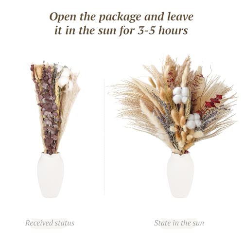 Dried Flowers Bouquet - Natural Pampas Grass Boho Decor Flower Arrangements for Rustic Home Bedroom Wedding Western Modern Decorations