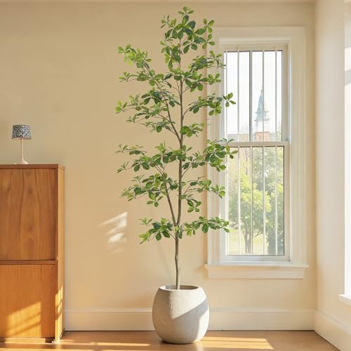 Bellacat Faux Black Olive Tree 7ft, Tall Faux Trees Indoor with Natural Trunk and Realistic Leaves. 7 Feet(84in) Artificial Tree for Home Office Décor. - style: 7ft Black Olive Tree