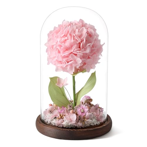 Forever Hydrangeas in Glass Dome,Forever Preserved Flowers Gifts Mothers Day Birthday for Grandma Women Mom Wife,Fresh Flowers for Delivery/Pink Hydrangea - color: Pink
