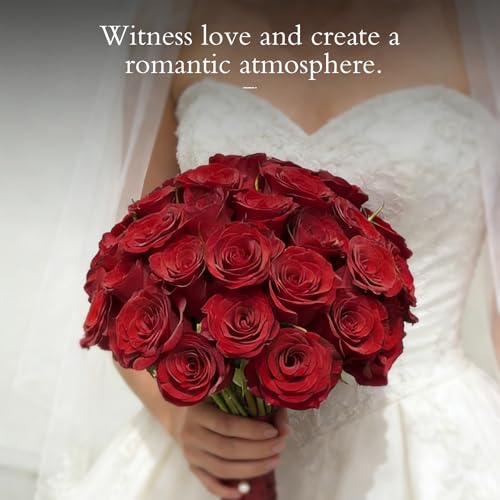 120 Pcs White Roses Artificial Flowers,Artificial Roses in Bulk,Fake Roses with Stems,DIY Wedding Bouquets,Wedding ornaments,Valentine's Day Party Decorations A rose symbolizes love (wine red,120 pcs) - color: Wine Red, size: 120 pcs