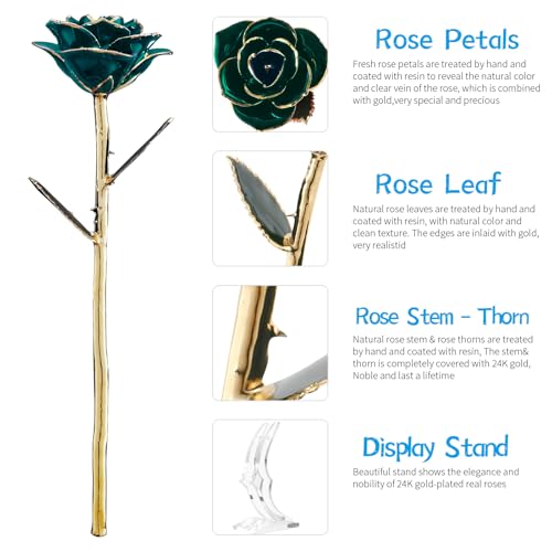 SW Gold Dipped Rose Real 24K Deep Green Rose Romantic Mom Gifts for Women Flower Love Romantic - color: Colorful