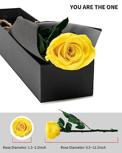 Yellow Flowers for Delivery Prime, Preserved Yellow Roses Flower Gifts for Women, Real Roses Single Rose Gifts for Her, Mom Birthday Gifts from Daughter,, Valentines Flowers - color: 16-yellow