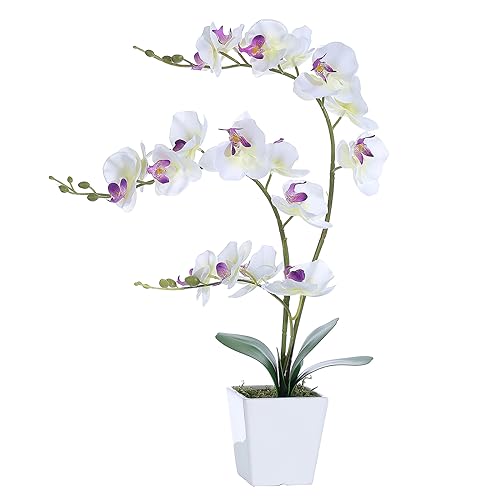 Faux Orchid in Vase Tall Artificial Orchid in Ceramic Vase Tall Silk Orchids with Stems Real Look Potted Fake Phalaenopsis Arrangement Centerpiece Table Decorations for Home Decor Indoor, White - color: Y-white