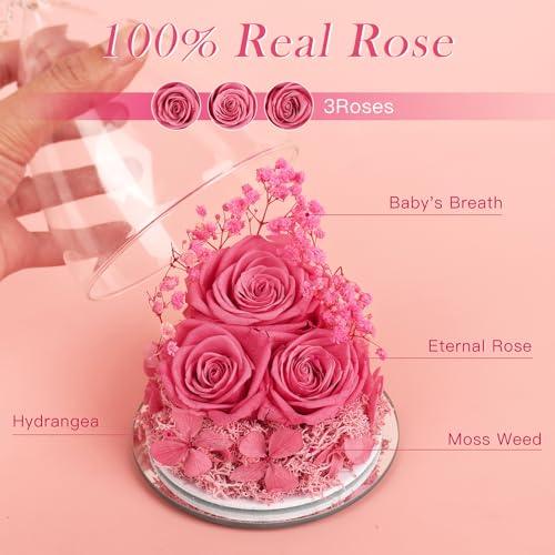 Mothers Day Flowers Gifts for Mom Flowers for Delivery Preserved Flowers Forever Real Fresh Roses in Glass Angel Figurines Birthday Gifts for Women Anniversary Present for Grandma Wife from Daughter - color: Sweet Pink (Rose, Baby's Breath, Hydrangea)