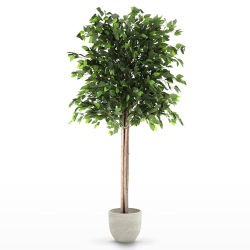 Maia Shop 7ft Artificial Ficus Tree Plant for House, Apartment or Office – Realistic Fake Indoor Plants for Living Room, Bedroom, Bathroom, Entryway - color: Ficus, size: 6ft 5in