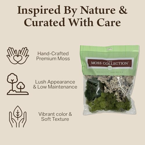 Quality Growers - The Moss Collection Variety Pack - Natural Decorative Moss - Crafts, Home Decor, Art, Design & DIY Projects - Non-Toxic - Made in USA - Original, Medium, 2-Pack - color: Original, size: Medium (2-Pack)