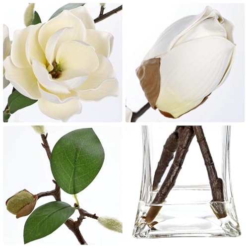 Briful Artificial Magnolia Flower Arrangement with Glass Vase, 18.5in White Faux Magnolia Flowers Fake Floral Centerpiece for Eleglant Home Office Room Table Shelf Décor - color: Cream White