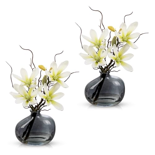 Briful 2PACK Artificial Magnolia Flowers with Grey Glass Vase, Small Faux Magnolia Arrangement Realistic Silk Flowers for Elegant Home Table Shelf Bathroom Decor - color: Yellow Green