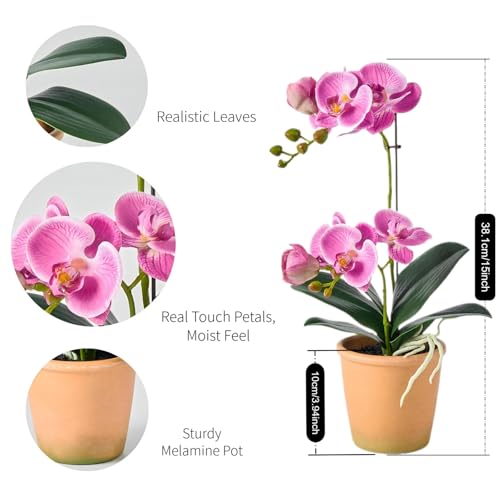 Avoeco Artificial Real Touch Orchid Plant – 15" Faux Phalaenopsis in Pot – Highly Realistic Silk Orchid Flower & Leaf Texture for Home, Office,Shop & Wedding Décor (Fuchsia, 15“) - color: Fuchsia, size: 15“