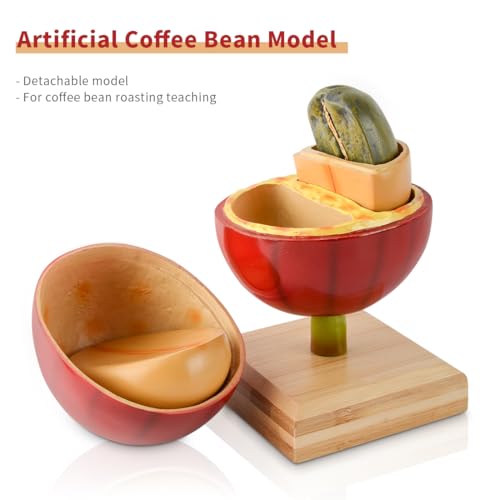Artificial Coffee Bean Plant Tree for Crafts Coffee Table Decoration Coffee Bar Decor Accessories Tools Detachable Coffee Bean Model Resin Fake Fruit Coffee Bean with Bamboo Base for Coffee Bar