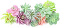 12 Pack Realistic Flocked Artificial Succulents, Faux Plastic Succulents Mini Fake Plants for DIY Craft, Home Decor, Garden & Office Floral Arrangements (Unpotted, PVC, Lifelike Details)