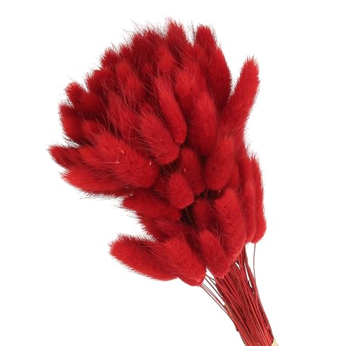 PATIKIL 15.7in Bunny Tails Dried Flowers, 80pcs Pampas Grass Decor Rabbit Tail Natural Pampas Grass Bulk Fluffy Faux Pampas Grass Dried for Home Boho Decor Vase Wedding Table, Red - color: Red