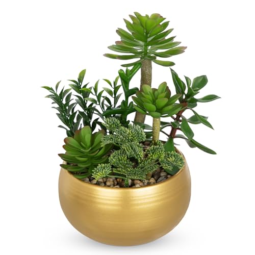 DILATATA Artificial Succulent Plants in Gold Pot Faux Succulent Arrangement Fake Potted Plants with Pebbles for Home Office Desk Shelf Table Decor - color: Gold #02